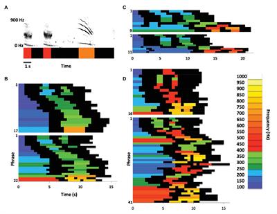 Song Morphing by Humpback Whales: Cultural or Epiphenomenal?